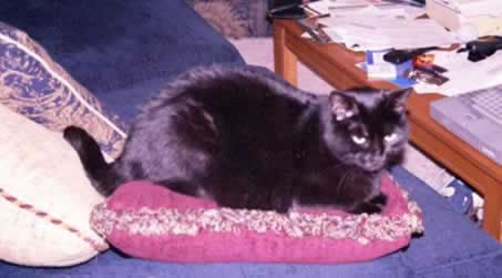 Chanel -- the Baby